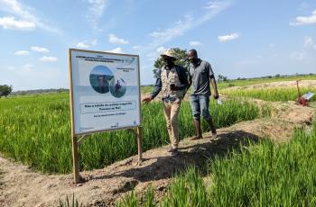 Rice- Fish Farmer Bernard